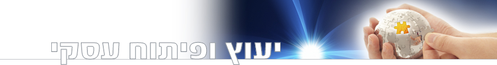 יעוץ ופיתוח עסקי יעוץ ופיתוח עסקי